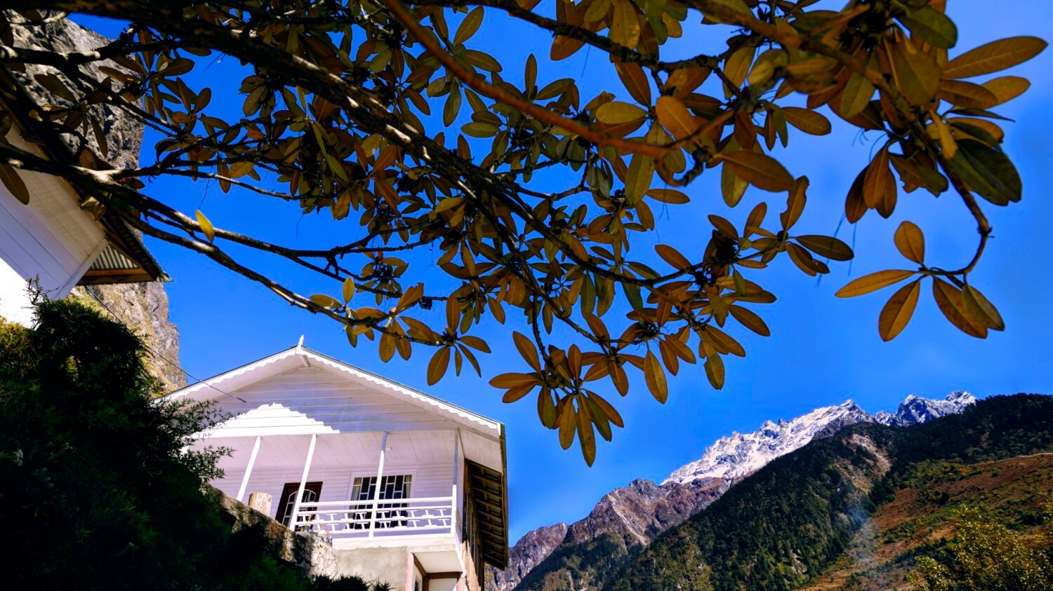 Exterior_View_3_at_Summit_Alpine_Resort_Lachung_oc2wpf